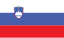 Slovenian